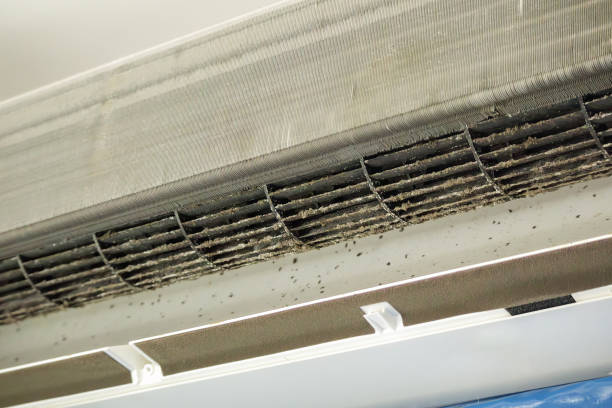 Affordable HVAC Duct Cleaning in Dania Beach, FL